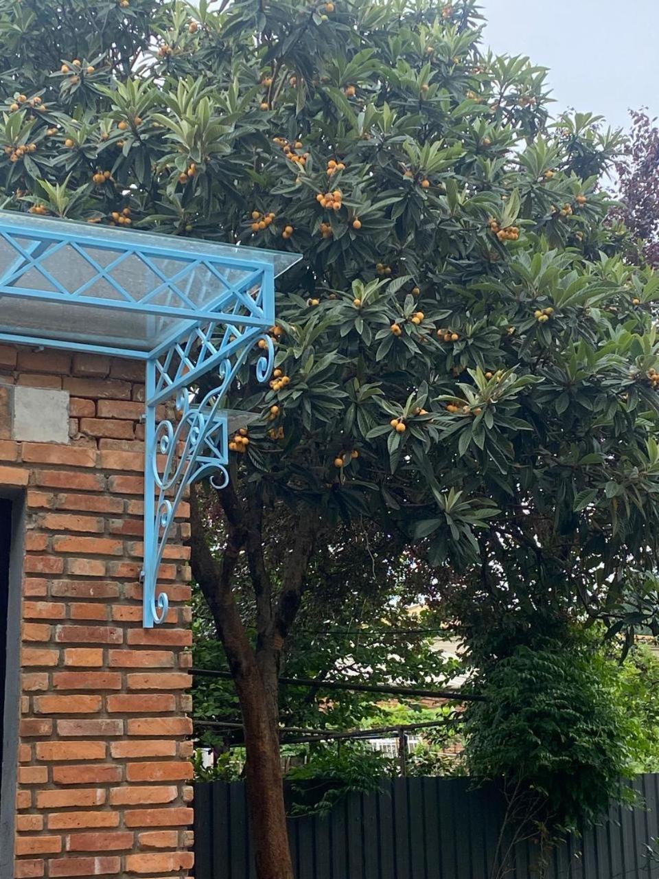 Hotel Varla Kutaisi Zewnętrze zdjęcie